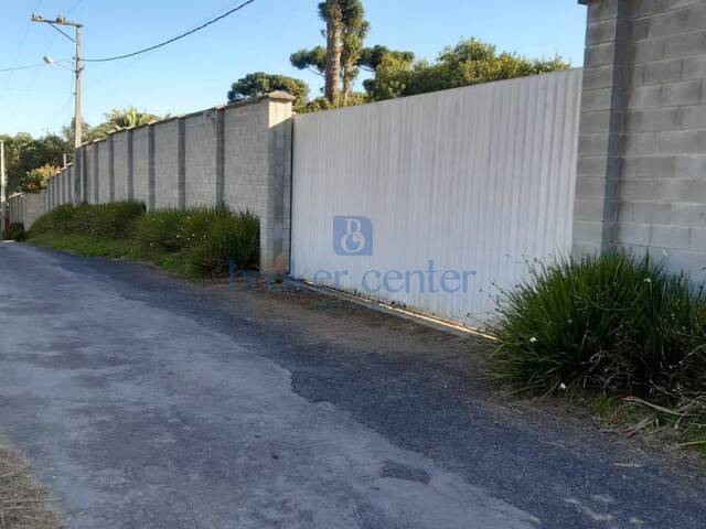 Venda em Barro Preto - São José dos Pinhais