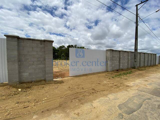 Venda em Barro Preto - São José dos Pinhais