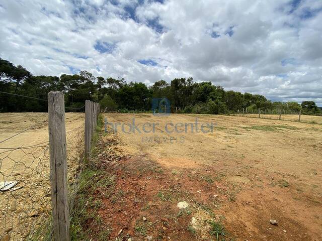 #227 - Terreno para Venda em São José dos Pinhais - PR - 2