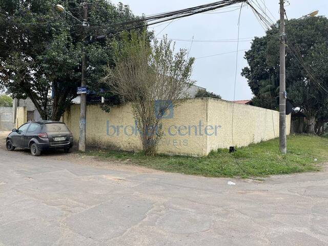 #254 - Terreno para Venda em São José dos Pinhais - PR - 2