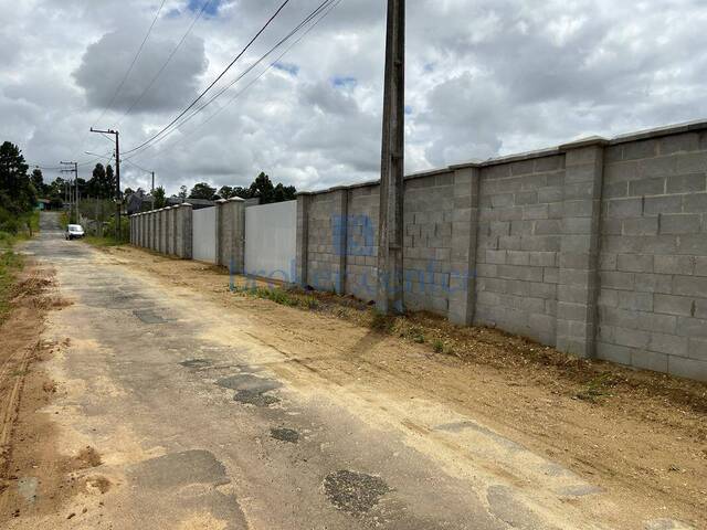 #265 - Terreno para Venda em São José dos Pinhais - PR