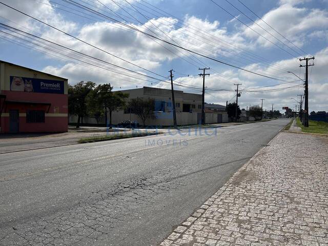 #351 - Barracão para Venda em São José dos Pinhais - PR - 2