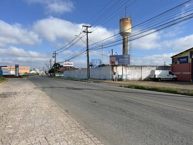 #351 - Barracão para Venda em São José dos Pinhais - PR - 3