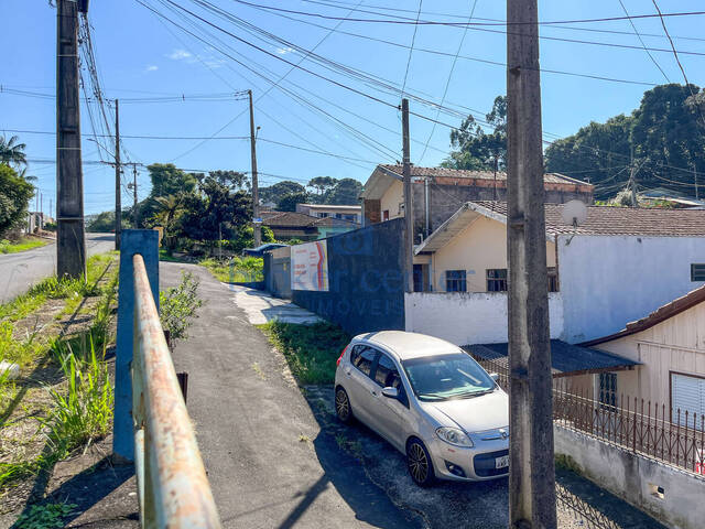 #360 - Terreno para Venda em São José dos Pinhais - PR - 3