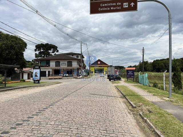 #413 - Chácara para Venda em São José dos Pinhais - PR - 3